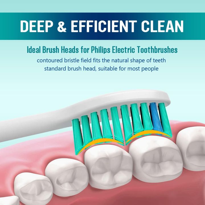 4-36%20Pcs%20Replacement%20Toothbrush%20Heads%20Compatible%20with%20%20Electric%20Brush%20Head%201100%202100%204100%204300%205100%205300%206100%206500%20Etc%20-%20Image%205