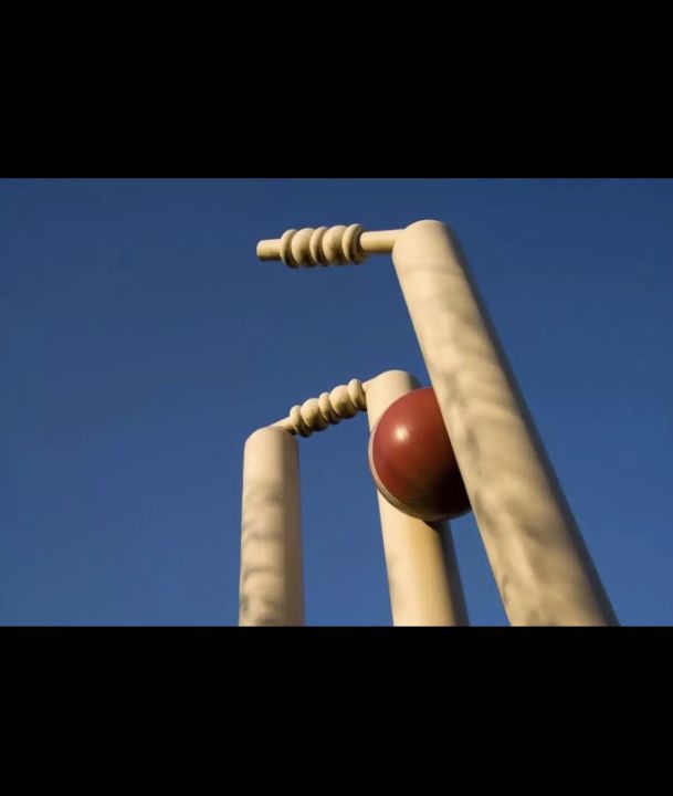 Best%20Cricket%20Wicket%20with%20Base%20Spring%20Back%20Cricket%20Stumps%20-%20Image%205