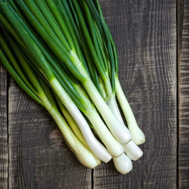 Bunching%20Onion-Vegetable%20Seed(%E1%80%80%E1%80%BC%E1%80%80%E1%80%BA%E1%80%9E%E1%80%BD%E1%80%94%E1%80%BA%E1%80%99%E1%80%BC%E1%80%AD%E1%80%90%E1%80%BA%E1%80%99%E1%80%BB%E1%80%AD%E1%80%AF%E1%80%B8%E1%80%85%E1%80%B1%E1%80%B7)%20-%20Image%203