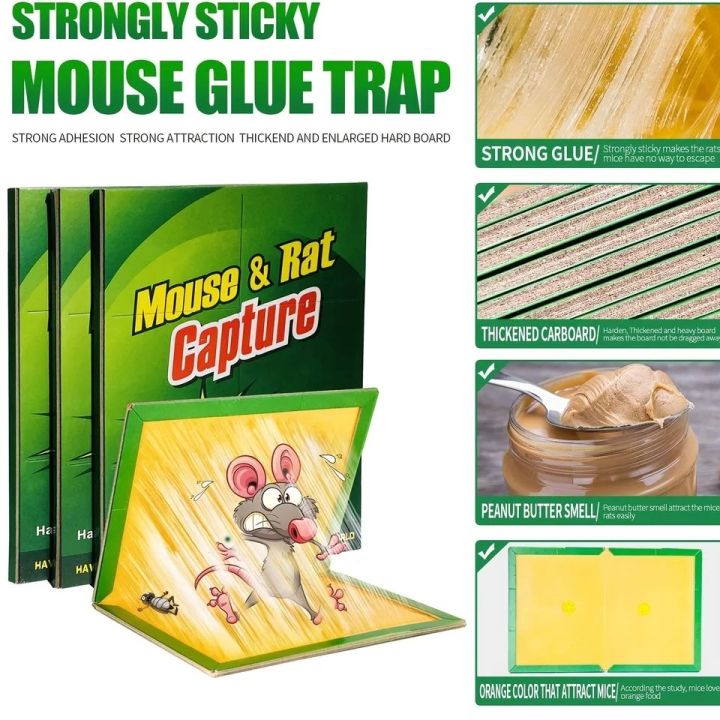 Pack%20of%205%20Mouse%20Killer%20Glue%20&%20Rat%20Killer%20Glue%20Rat%20Trap%20Adhesive%20Sticky%20Glue%20Pad%20Catch%20Mouse%20&%20Rat%20Glue%20Board%20(Homeducts)%20-%20Image%205
