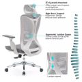 OOFFICE ERGONOMIC BOSS AND HEAD CHAIR. 