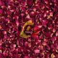 Pure Rose Powder (80g) - Organic Ghulab Powder for Glowing Skin, Face Mask & Natural Toner. 