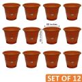 8 Inch Flower Pot / Gamala ( Set Of 12). 