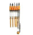 Calligraphy Fountain Pen (Set of 5),Calligraphy Ink Pens. 