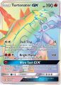 Pokemon Rainbow Turtonator GX Card. 