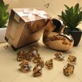 Original Mutual Love Gold Perfume For Women 50 ML Perfume Set Pack For Girls Ramzan Gifting. 
