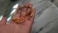 Eman name coustomize bracelet for girls and women. 