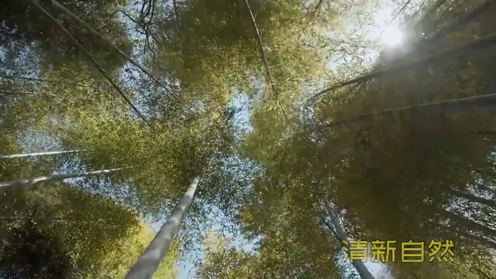 Bamboo Sticks Natural Wood Long Skewer Food Grade Disposable Party Barbecue Fruit BBQ Tools Catering Grill Camping