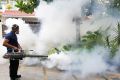 Mosquito Fogging / Dengue Control / Mosquito Control For Exterior Area Of House. 