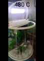 imported Aquarium (480 C). 