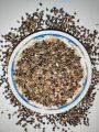 Buckwheat (Sweet). 