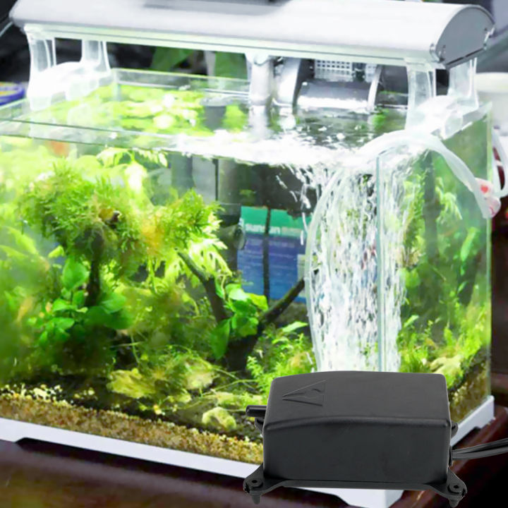 Space Efficient Goldfish Tank Accessories photo