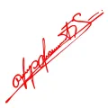 coins Car Sticker Personalized Schumacher Art Signature Lamp Eyebrows Die-Cut Auto Parts Decoration Vinyl Decals,30CM. 