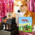 Pets Dogs Cutting Dies for Card Making Collie Dalmatian Golden Retriever Cut Die for DIY Scrapbooking Journal Embossing Paper. 