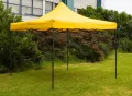 10x10 Canopy Tent. 