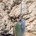 Metal Jig Fishing Lure 20g Shore Cast Hook Swimbait Artificial Bait Laser Cover Pesca Sea Pike Bass Accessories Spinning Tackle.