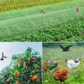 Garden Netting Green Woven Mesh Protect Plants Fruits Flowers Trees Stretch Fencing Durable Net Stops Birds Deer Animals. 