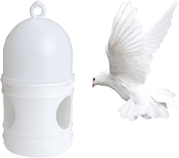 Piegon Drinker 1 litre