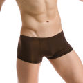 Men's Sexy Sheer U Convex Ice Silk Boxer Men Seamless Ultra-Thin Breathable Boxer Shorts Soft Comfortable Transparent Panties. 