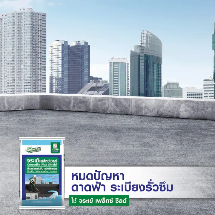 Flex%20shield%20crocodile%20flex%20shield%20flexible%20waterproofing%20cement%20(1G)%20-%20Image%205