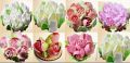 3 Pcs Russian Tulip Icing Piping Nozzles Stainless Steel Flower Cream Pastry Tips Nozzles Cake Decorating Tools. 