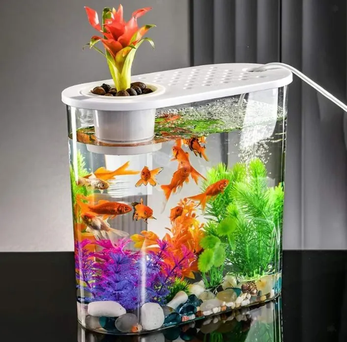Fish%20Tank%20-%20Image%203