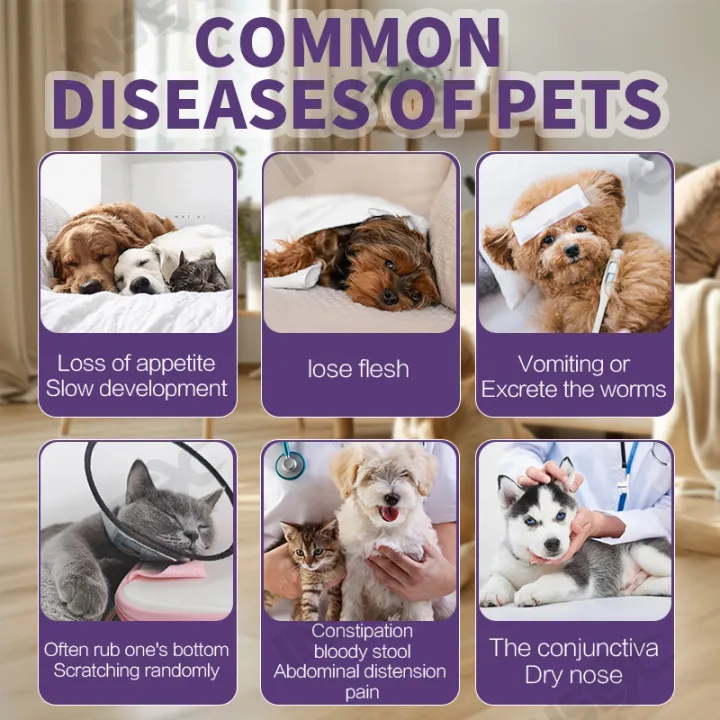 CDV%20/%20CPV%20/%20FPV%20Pet%20Test%20Kit:%20Feline%20Panleukopenia%20Test,%20Canine%20Distemper%20Test,%20Dog%20Parvovirus%20Stool%20Test%20-%20Image%202