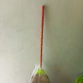 broom stick phool jharoo. 