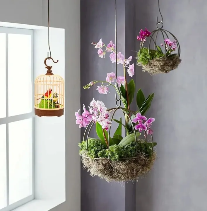 Cute%20Mini%20Bird%20Cage%20Toy%7CRecording%20Function%20Bird%20Cage%20Toy%20For%20All%7CBest%20Gift%20Item%20For%20Kids%7CVoice%20Control%20%20Cute%20Mini%20Bird%20Cagerc%20%7CRecording%20Function%20Automatically%20%20Play%7Ckotha%20bola%20auto%20pakhir%20khacha%20bacchader%20jonno%20-%20Image%203