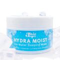 Hydra Moist Ice Water Sleeping Mask 300g. 