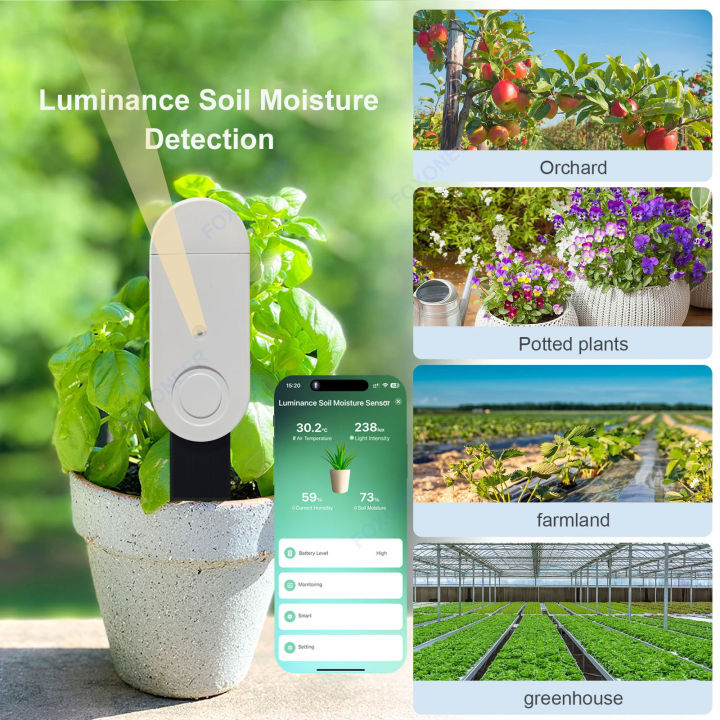 Tuya%20Zigbee%20Temperature%20Humidity%20Moisture%20Detector%20Smart%20Soil%20Moisture%20Light%20Sensor%20Real%20Time%20Monitor%20Support%20Home%20Assistant%20Z2M%20lightify%20-%20Image%202
