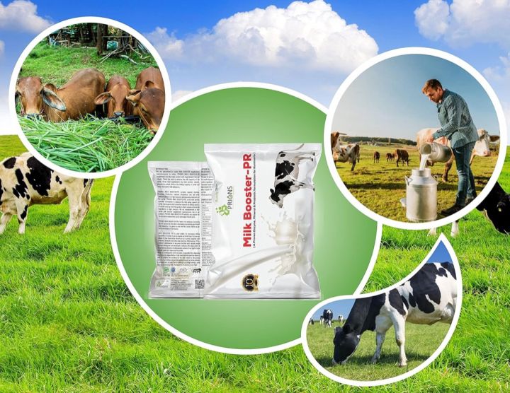 Adult%20Cow%20Feed%20Powder%20(1%20Kg)-%20Milk%20Booster-%20PR%20%7C%20For%20Better%20Health,%20FCR%20&%20Improves%20Milk%20productivity%20in%20Cow%20&%20Buffalo,%20Sheep%20and%20Goat%20-%20Image%203
