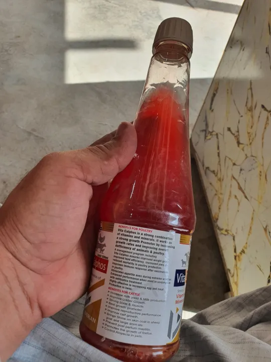 vita%20Calphos%20500ml%20veterinary%20medicine%20vitamin%20and%20mineral%20combination%20-%20Image%203