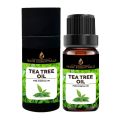TEA TREE OIL  PURE AND NATURAL IKON ESSENTIALS. 