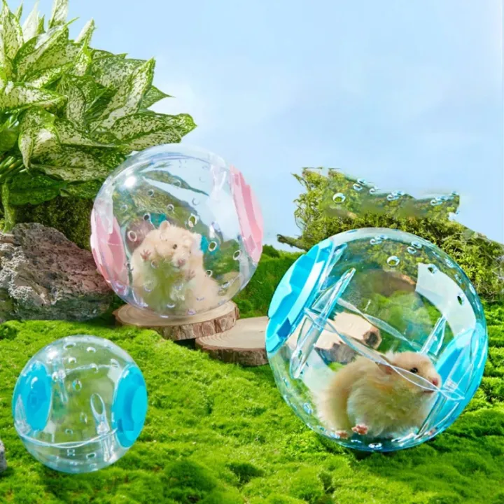 Hamster%20Exercise%20Ball%20Transparent%20Hamster%20Running%20Ball%20Wheel%20With%20Traction%20Rope%20For%20Small%20Animals%20Pet%20Supplies%2014cm/18/cm%20-%20Image%202