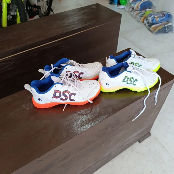 DSC%20CRICKET%20SHOE%20-%20Image%202