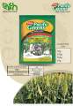 Prima Pacific Greens – Sugargraze Seeds Cow Feed (Forage Sorghum/Grass). 