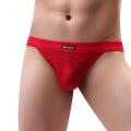 BRAVE PERSON Mens Lace Thongs Transparent Men Underwear T-back Panties G-string Exotic Underpants Thongs for Men.