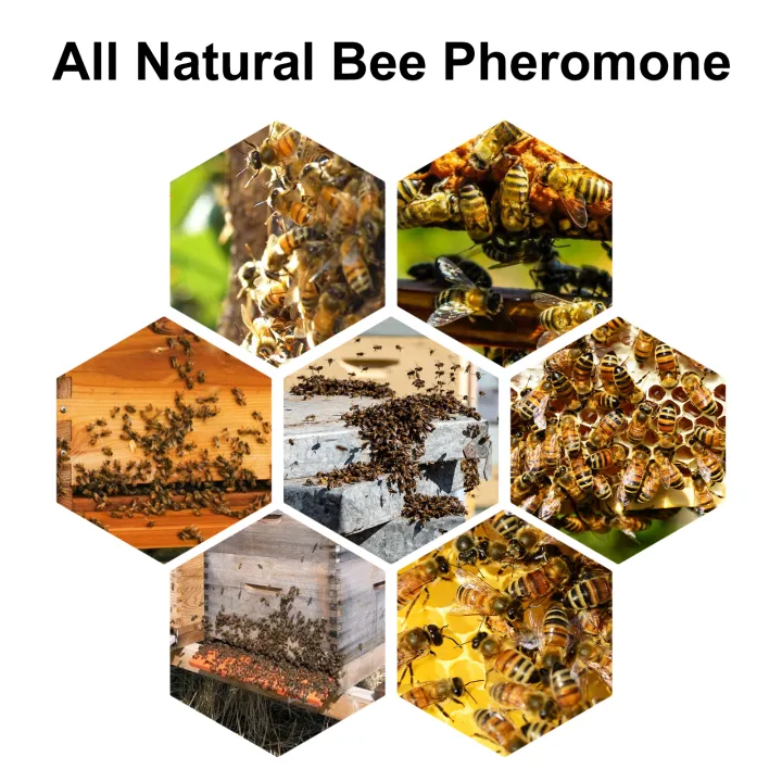 Bee%20Attractant%20Swarm%20Commander%20Premium%20Hive%20Beekeeping%20Catching%20Bee%20Lure%20Bait%20Honey%20Collection%20Cage%20Pollen%20Trap%20Attract%20Bee%20Bait%20-%20Image%204