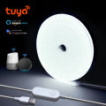 DC 5V USB Neon Light LED Strip Tuya Smart Life Wifi App Control Neon Tube Tape Garden Xmas DecorWork with Alexa, Home. 