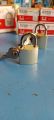 CAT- KING LOCK  25 MM 🔒🔐. 