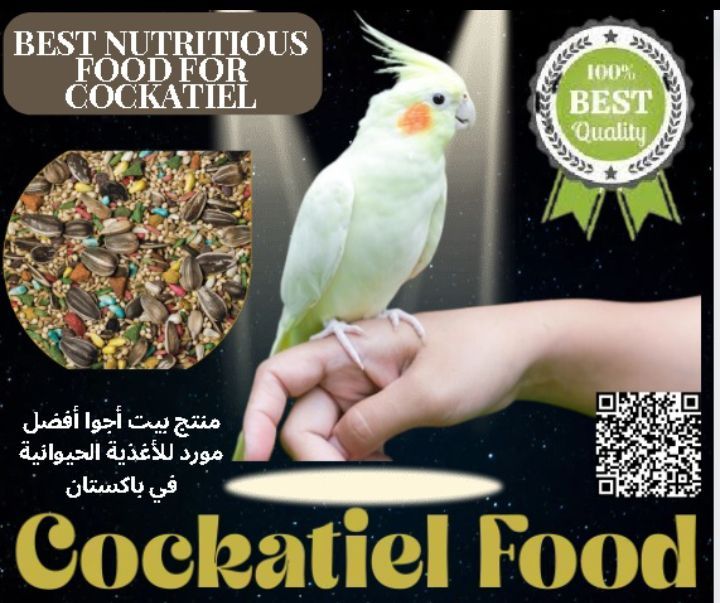 Cocktail Parrot High Quality Nutritional Mixed Seed winter Daraz.pk