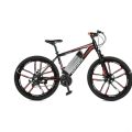 electric bicycle with full aluminum body.