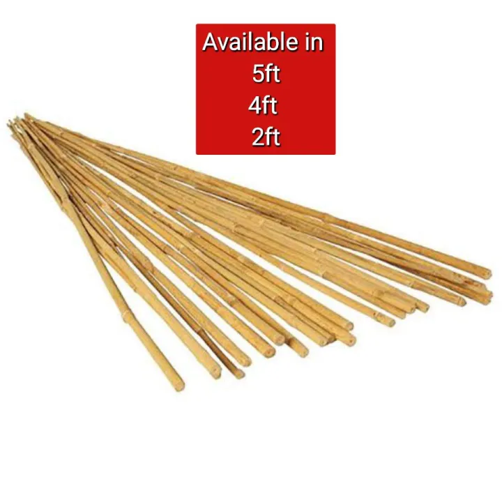 Bamboo%20sticks%205pieces%20-%20Image%204