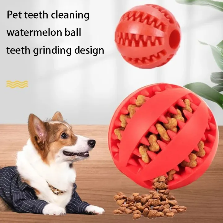Natural%20%20Pet%20Dog%20Toys%20Dog%20Chew%20Toys%20Tooth%20Cleaning%20Treat%20Ball%20Extra-tough%20Interactive%20Elasticity%20Ball5cm%20for%20Pet%20Products%20-%20Image%202