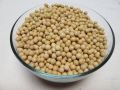 Organic Fresh Soya bean 1 Kg. 