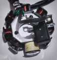 Motorcycle MAGNET COIL/MAGNET GHUTCHA CG 125 SELF EDITION/125 F. 