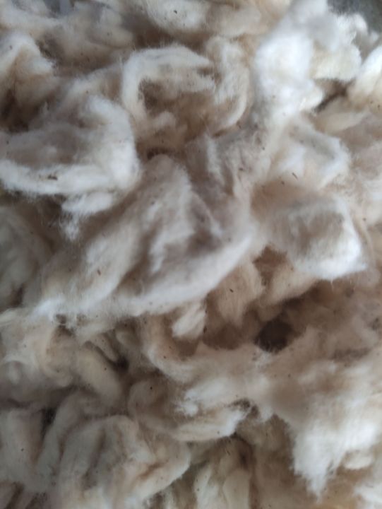 Cotton%20fiber%20-%20Image%204