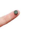 Pet Fish Healthy Food Spirulina Natural Plant Tropical Fish Tablets Feed Algae Food Catfish Veggie Algae Wafer High Protein!Spirulina Tablets For Fish!!.