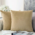 Plain Velvet Cushion Cover. 
